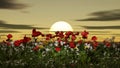 Blooming poppy fields of flowers at sunset. Red poppy flowers in the green grass in summer. 3d render