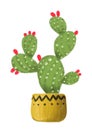 blooming prickly pear cactus in a yellow ceramic pot