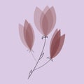 Blooming Purple Magnolia Flower Branch