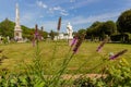 Blooming purple prairie blazing star Liatris pycnostachya flowers Royalty Free Stock Photo