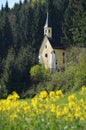 A blooming rapeseed field with a chapel in Austria