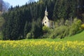 A blooming rapeseed field with a chapel in Austria