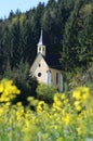 A blooming rapeseed field with a chapel in Austria