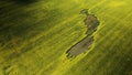 Blooming rapeseed field. With flooded areas. Aerial photography