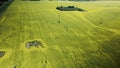 Blooming rapeseed field. With flooded areas. Aerial photography