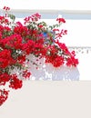 Blooming red bougainvillea flowers at Koufonisia islands Cyclades Greece Royalty Free Stock Photo