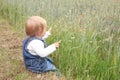 Blooming red poppies in a green summer field, a small child in jeans sits on the grass, the concept of human interaction with