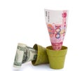 Blooming RMB and fade USD Royalty Free Stock Photo