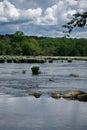 Blooming Rocky Shoal Spider Lilies on the Catawba River with dramatic cloudscape