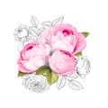 The Blooming Rose with couple of small flowers. Botanical vector illustration. Awesome single flower bouquet of roses