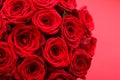 Gourgeous luxury bouquet of red roses, flowers in bloom as floral holiday background Royalty Free Stock Photo