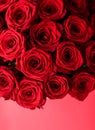 Gourgeous luxury bouquet of red roses, flowers in bloom as floral holiday background Royalty Free Stock Photo