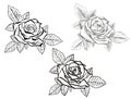 blooming rose and leaves in 3 different styles.