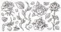 Blooming roses monochrome set labels