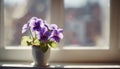 Blooming Saintpaulia. Saintpaulia flowers in a pot on the windowsill. Selective focus. AI generated