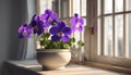 Blooming Saintpaulia. Saintpaulia flowers on the windowsill. Flowers in a pot. AI generated