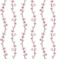 Blooming sakura branches with pink flowers. Cherry blossom seamless pattern Royalty Free Stock Photo