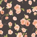 Blooming Sakura Decor for Fabric Art. Cherry Flower Seamless Pattern with Blossoms and Leaves on Brown Color Background Royalty Free Stock Photo