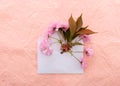 Blooming sakura. Envelope with spring flowers over pink crumpled decorative paper background. Springtime design