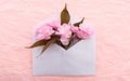 Blooming sakura. Envelope with spring flowers over pink crumpled decorative paper background. Springtime design