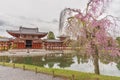 Byodo-in Buddhist temple in Uji, Kyoto, Japan Royalty Free Stock Photo