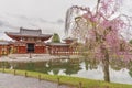 Byodo-in Buddhist temple in Uji, Kyoto, Japan