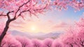 Blooming sakura trees