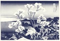 Blooming Sakura vintage illustration, remix of original painting by Hokusai