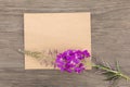 Blooming sally purple flowers with craft paper blank on old grunge wooden background. Top view. Minimalistic mockup. Royalty Free Stock Photo