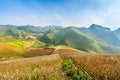 Blooming season in Ha Giang