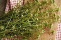 Blooming shepherd\'s purse herb on a table - ingredient for herbal tincture Royalty Free Stock Photo