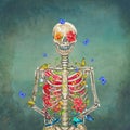 Blooming skeleton on the grunge background with butterflies