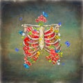 Blooming skeleton on the grunge background with butterflies