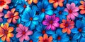 Blooming Splendor: A Kaleidoscope of Summer Flowers on a Wall
