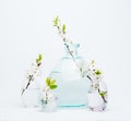 Blooming sprigs cherries in vases.