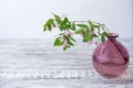 Blooming spring branches of flowers in glass pink vase on wooden vintage white background with copy space. Elegant home spring Royalty Free Stock Photo