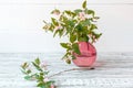 Blooming Summer flowers, branches of flowers in glass pink vase on wooden vintage white background . Elegant home spring Royalty Free Stock Photo