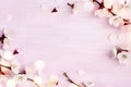 Blooming spring flowers on pink wooden background with copy space