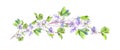 Blooming spring flowers. Watercolor cherry blossom, sakura lush flowering branch. Floral bunch in blue and white colors