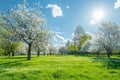 Blooming Spring Meadow Under Blue Sky Royalty Free Stock Photo