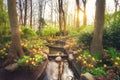 Blooming spring park with water cascade Royalty Free Stock Photo