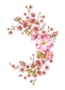 Blooming spring sakura, cherry tree with rose hip dog rose flowers. Watercolor painted illustration Royalty Free Stock Photo