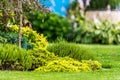 Blooming Spring Time Garden Vegetation