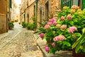 Blooming street at old mediterranean village Fornalutx, Majorca Spain Royalty Free Stock Photo