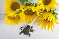 Top view of bouquet of sunflowers and seeds on the white surface Royalty Free Stock Photo