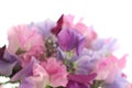 Blooming sweet peas. Artificial Summer flowers for interior decoration. Beautiful bouquet of blossom blue sweet peas. Happy birth