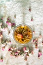 Blooming Tea Ball Flower Royalty Free Stock Photo