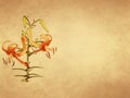 Blooming tiger lily on old paper Royalty Free Stock Photo