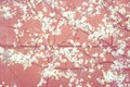 Blooming tree on pink background. Cherry tree in full bloom. Blossoming lush branches with white flowers. Spring nature Royalty Free Stock Photo