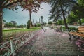 Blooming tree and view of The Sultan Ahmed Mosque Blue Mosque and fountain view from the Sultanahmet Royalty Free Stock Photo